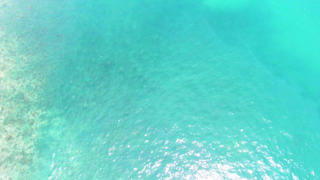 PUNTA BUZZARDS EAST CAPE BCS MEXICO-2022: Clear Turquoise Water Over Shallow Coral Seabed