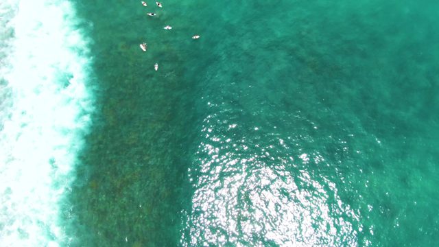 PUNTA BUZZARDS EAST CAPE BCS MEXICO-2022: Swimmers in Clear Turquoise Ocean Waters