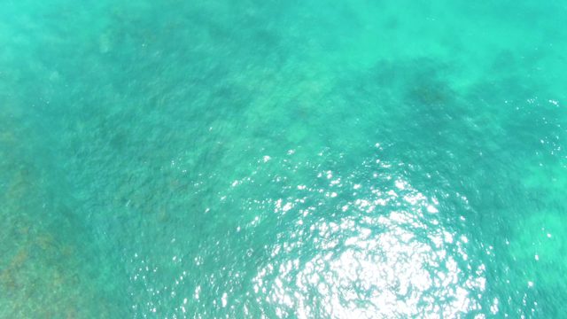 PUNTA BUZZARDS EAST CAPE BCS MEXICO-2022: Swimmers in Clear Turquoise Ocean Water