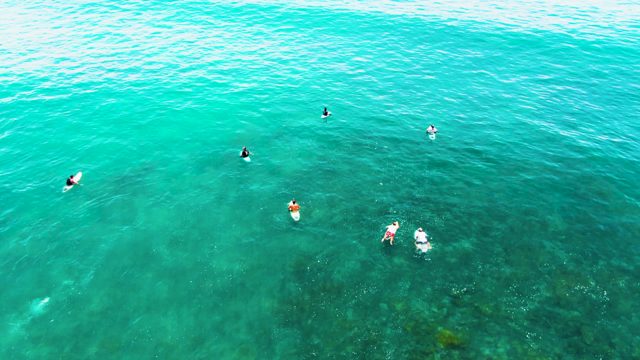 PUNTA BUZZARDS EAST CAPE BCS MEXICO-2022: Swimmers in Clear Turquoise Ocean Waters