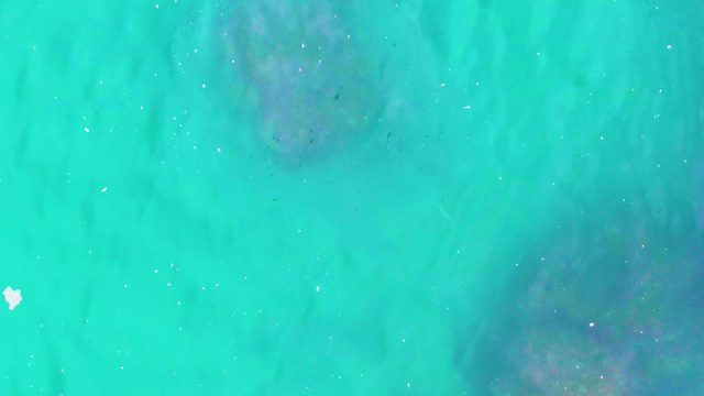 PUNTA BUZZARDS EAST CAPE BCS MEXICO-2022: Clear Turquoise Water with Underwater Coral and Ripples