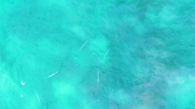 PUNTA BUZZARDS EAST CAPE BCS MEXICO-2022: Clear Turquoise Ocean Water with Small Fish