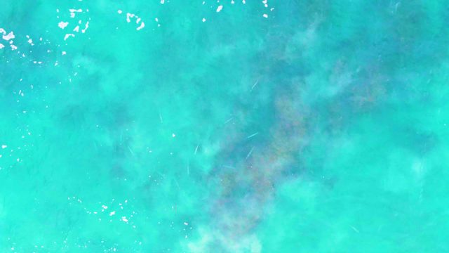 PUNTA BUZZARDS EAST CAPE BCS MEXICO-2022: Gentle Currents in Clear Turquoise Ocean Water