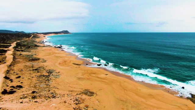 PUNTA BUZZARDS EAST CAPE BCS MEXICO-2022: Coastal Sand Dunes and Ocean Waves
