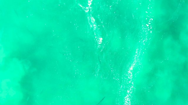 PUNTA BUZZARDS EAST CAPE BCS MEXICO-2022: Clear Turquoise Ocean Water with Swimming Fish