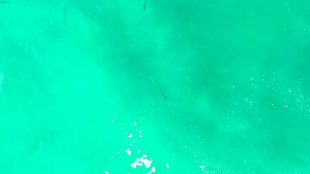 PUNTA BUZZARDS EAST CAPE BCS MEXICO-2022: Fish Swimming in Clear Turquoise Water