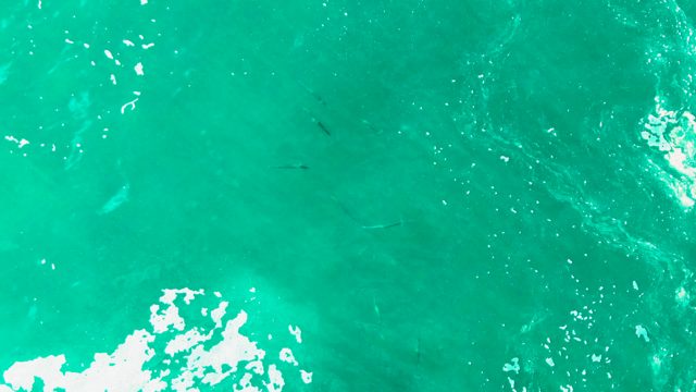 PUNTA BUZZARDS EAST CAPE BCS MEXICO-2022: Aerial View of Turquoise Ocean Waves