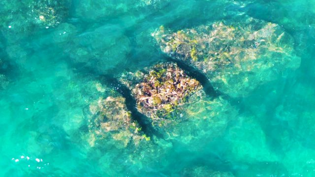 PUNTA BUZZARDS EAST CAPE BCS MEXICO-2022: Clear Turquoise Water Revealing Submerged Rocks