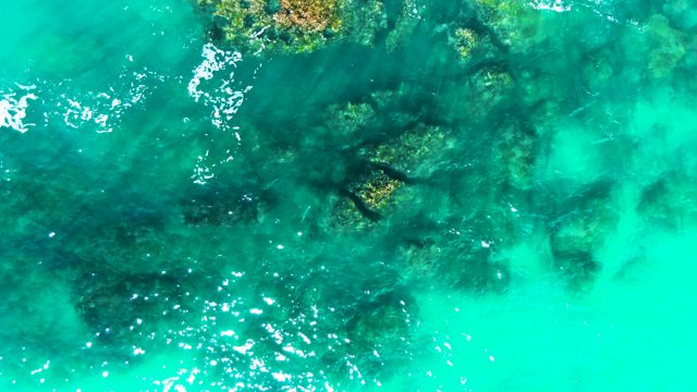 PUNTA BUZZARDS EAST CAPE BCS MEXICO-2022: Clear Turquoise Water Revealing Rocky Seabed