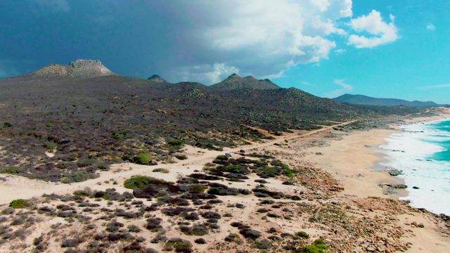 PUNTA BUZZARDS EAST CAPE BCS MEXICO-2022: Vehicle Driving Along Coastal Dirt Road near Sandy Beach
