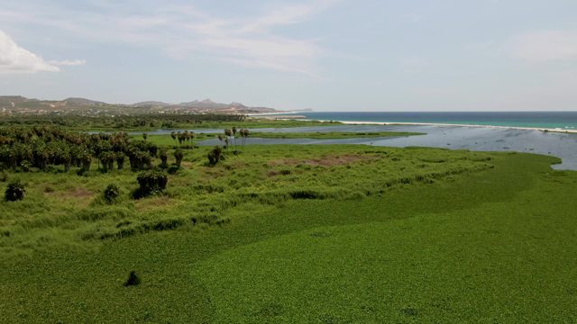 SAN JOSE DEL CABO BCS MEXICO-2022: Coastal Wetland with Lagoon and Ocean