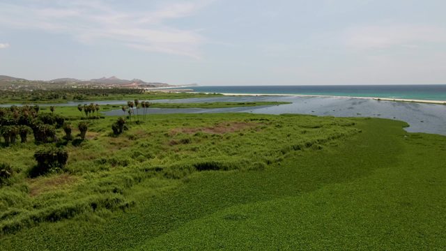 SAN JOSE DEL CABO BCS MEXICO-2022: Coastal Estuary with Lush Greenery and Ocean