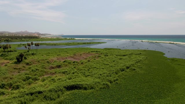 SAN JOSE DEL CABO BCS MEXICO-2022: Coastal Wetland Lagoon and Ocean View