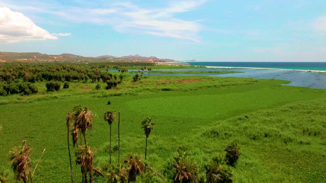 SAN JOSE DEL CABO BCS MEXICO-2022: Lush Green Marsh and Ocean Aerial Movement