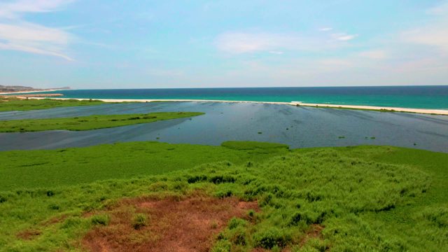 SAN JOSE DEL CABO BCS MEXICO-2022: Wetland Marshes Meeting the Ocean