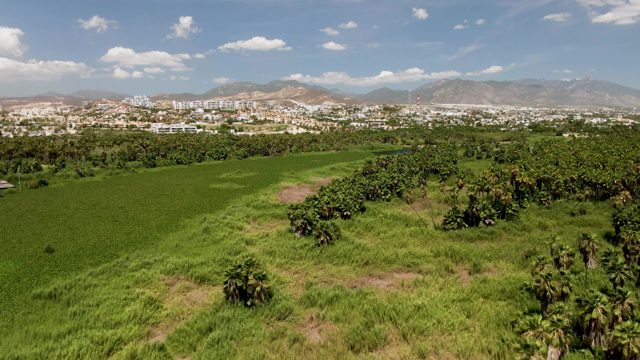 SAN JOSE DEL CABO BCS MEXICO-2022: Aerial Flight over Green Fields and Water near Town