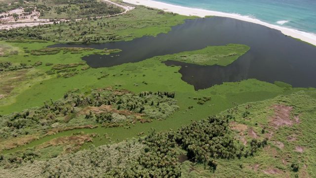 SAN JOSE DEL CABO BCS MEXICO-2022: Coastal Lagoon with Green Algae and Sandy Shore