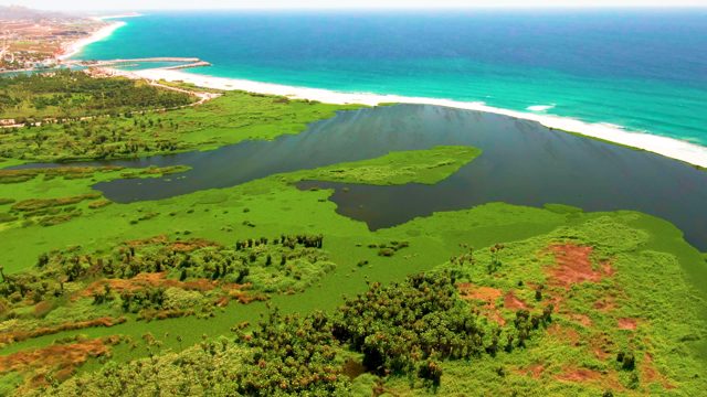 SAN JOSE DEL CABO BCS MEXICO-2022: Coastal Wetlands and Sandy Beach with Turquoise Ocean