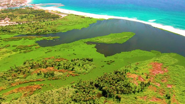 SAN JOSE DEL CABO BCS MEXICO-2022: Wetland Lagoon and Ocean Shoreline Aerial View