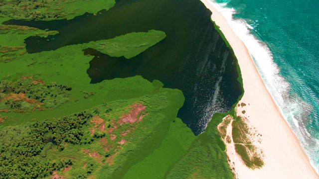SAN JOSE DEL CABO BCS MEXICO-2022: River Merging with Ocean at Sandy Shore