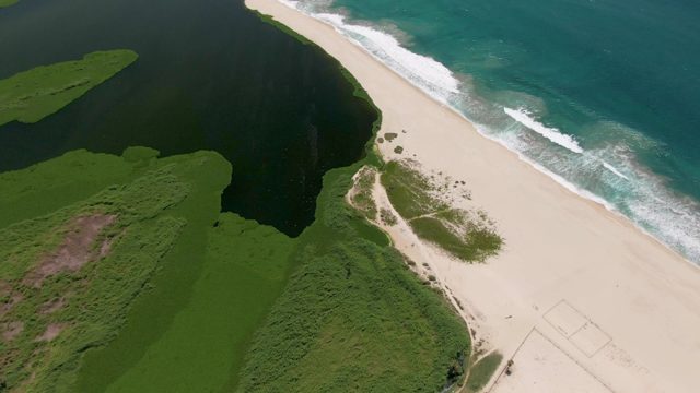 SAN JOSE DEL CABO BCS MEXICO-2022: Person Walking Through Coastal Greenery