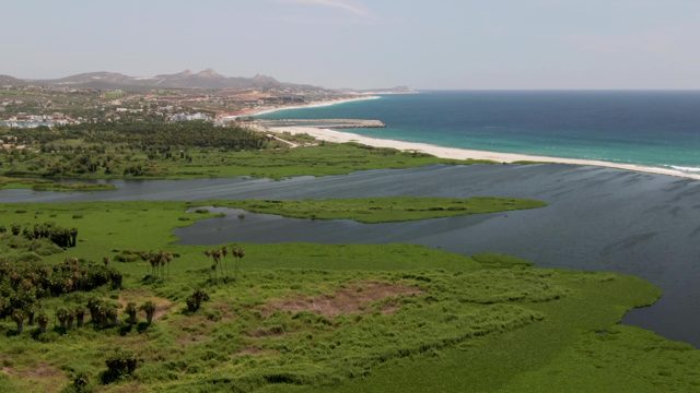SAN JOSE DEL CABO BCS MEXICO-2022: Coastal Wetland and Sandy Shore