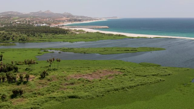 SAN JOSE DEL CABO BCS MEXICO-2022: Coastal Marshes and White Sand Beach