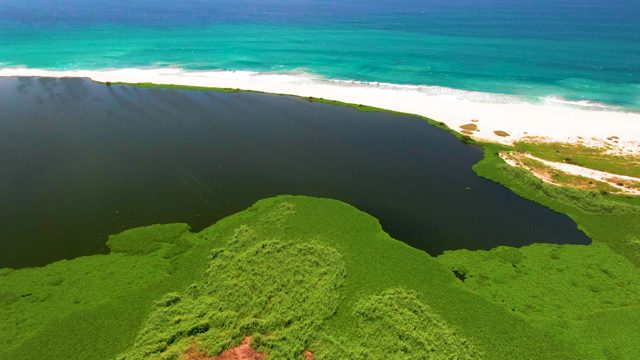 SAN JOSE DEL CABO BCS MEXICO-2022: Coastal Lagoon with White Sand and Turquoise Waters