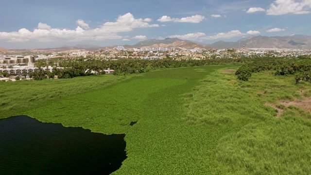 SAN JOSE DEL CABO BCS MEXICO-2022: Drone Shadow Moving Across Green Field and Water