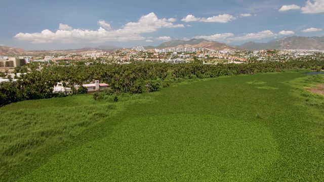 SAN JOSE DEL CABO BCS MEXICO-2022: Slow Aerial Pan Over Lush Green Field and Cityscape
