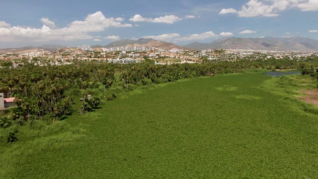 SAN JOSE DEL CABO BCS MEXICO-2022: Lush Green Fields with Distant City and Mountains