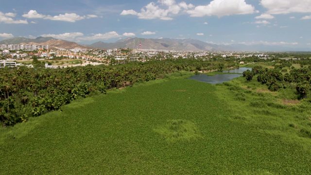 SAN JOSE DEL CABO BCS MEXICO-2022: Lush Green Field with Water and Distant Structures