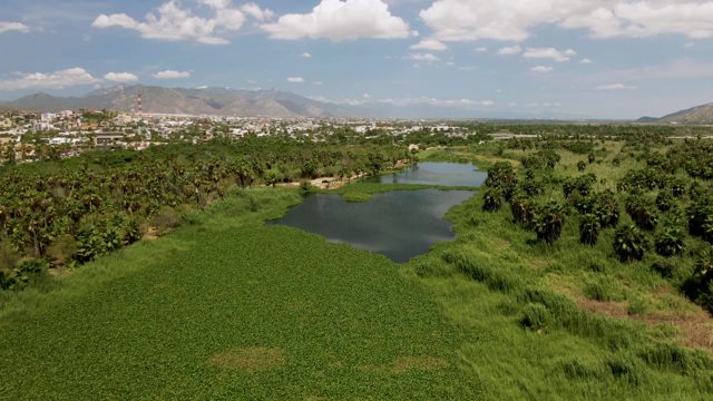 SAN JOSE DEL CABO BCS MEXICO-2022: Pond Water Level Receding in Lush Field
