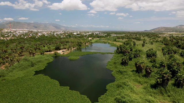 SAN JOSE DEL CABO BCS MEXICO-2022: Lush Lake and Greenery From Above