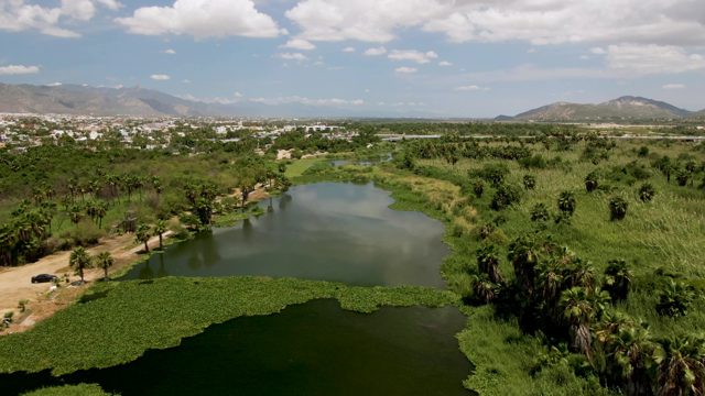 SAN JOSE DEL CABO BCS MEXICO-2022: Car Driving Along a Path Beside a Pond