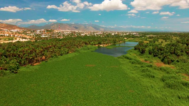 SAN JOSE DEL CABO BCS MEXICO-2022: Lush Green Field and Pond with Distant Mountains From Above