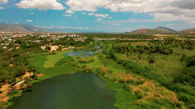SAN JOSE DEL CABO BCS MEXICO-2022: Lush Park with a Lake From Above