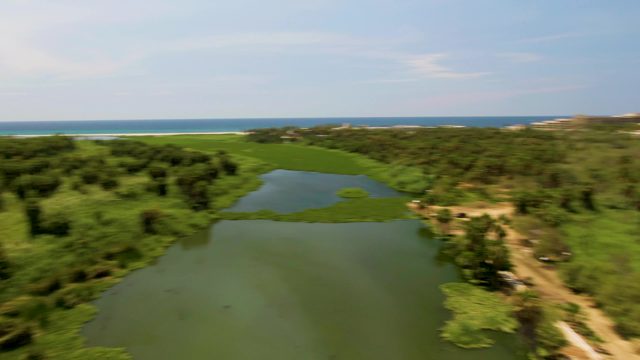 SAN JOSE DEL CABO BCS MEXICO-2022: Coastal Lagoon and Lush Greenery