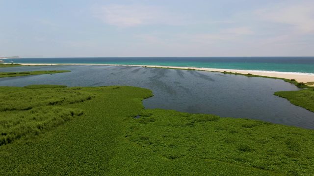 SAN JOSE DEL CABO BCS MEXICO-2022: Coastal Lagoon with Marsh and Sandy Beach