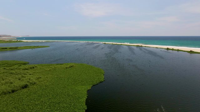 SAN JOSE DEL CABO BCS MEXICO-2022: Wetland, Sandy Beach, and Moving Boat on Calm Water