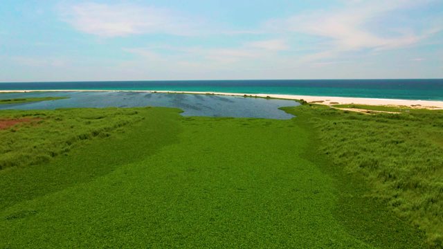 Coastal Grassy Field, Lagoon, and Ocean Shoreline