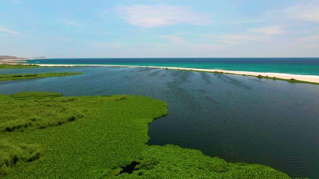 Lush Wetland and Ocean Lagoon with Sandbar