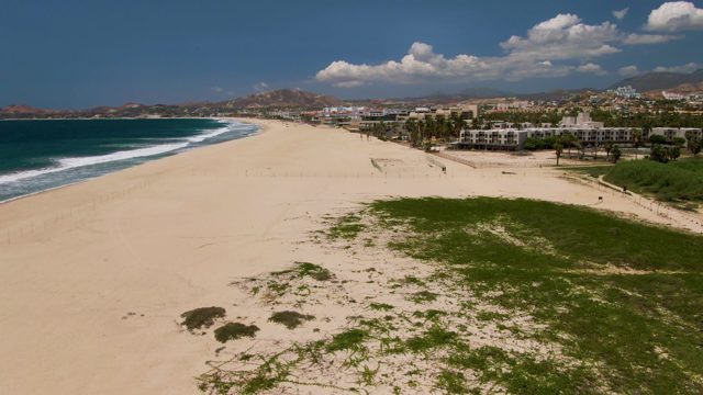 People Walking Along Sandy Beach with Green Dunes