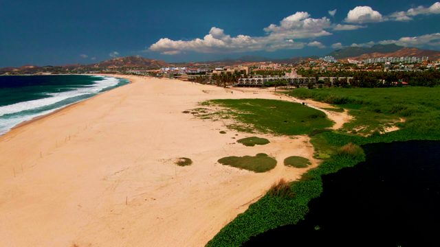 Beach with Receding Lagoon and Expanding Vegetation