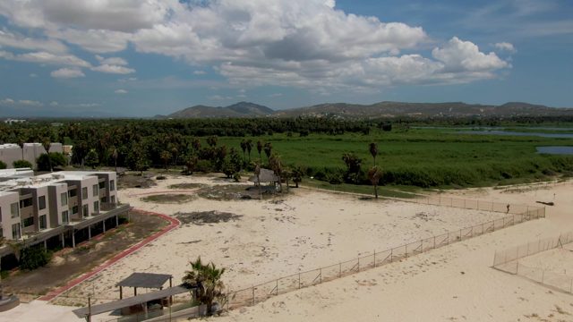 Coastal Beach with Resort Building and Palm Trees