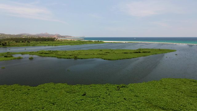 Coastal Wetland Waterways and Green Marshes