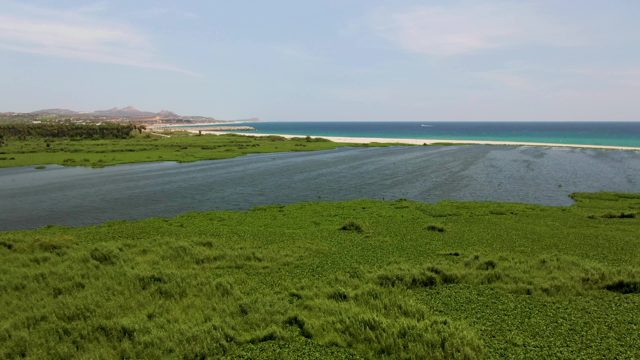 Gentle Estuary Water Flow by Sandy Shore