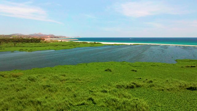 Grassy Estuary with Flowing Water Meeting Ocean