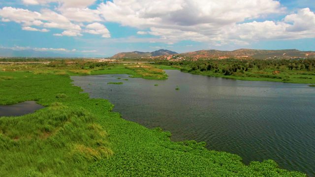Lush Riverbank with Calm Water and Distant Hills