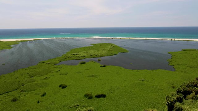 Lagoon and Ocean with Shifting Sandbar and Waves